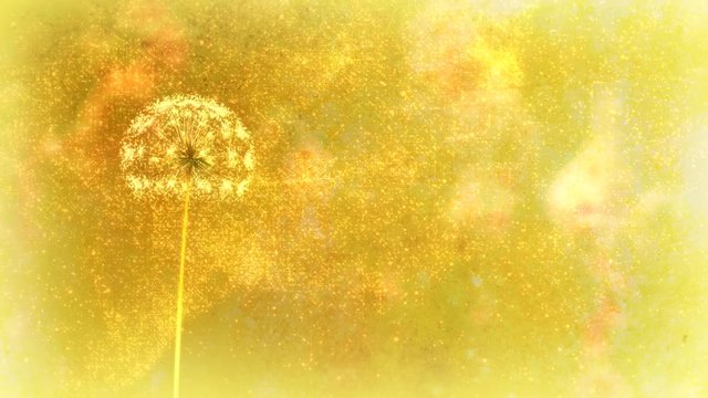 “Close your eyes and Make a wish. May all your wishes come true.” Text animation, with dandelion seeds blowing away. Loop (or removable) section between 6:00-12:00. Golden yellow version.