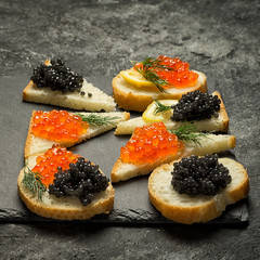 Sandwiches with red and black fish caviar on a dark black background, square composition.