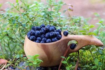 Blueberries