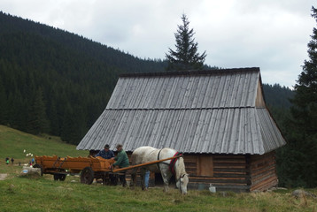 Tatry Wysokie, Polska - bacówka na Rusinowowej Polanie © Iwona