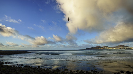 Playa de las Canteras 