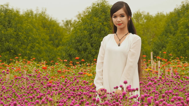 Vietnamese girl with long black hair standing in a plantation purple flowers. Vietnam.