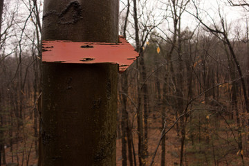 Pink arrow to the right. Hiking path sign.