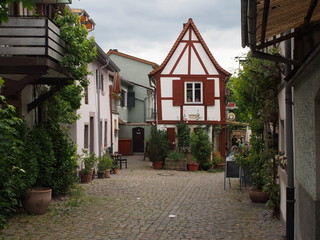 Freinsheim - historischen Winzerdorf, an der Deutschen Weinstraße
