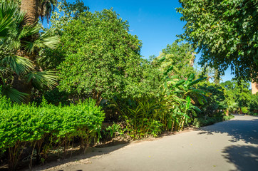 Beautiful park  in old medina  of Marrakesh, Morocco