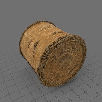 Round bale of hay