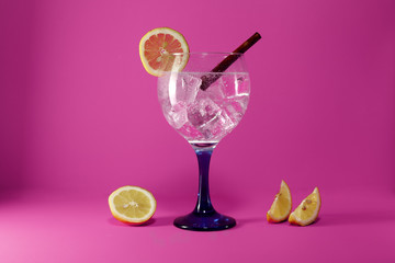 gin tonic with  cinnamon