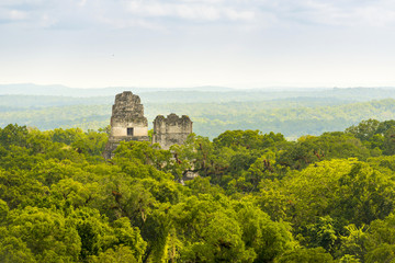 Tikal Guatemala Mayan Ruins