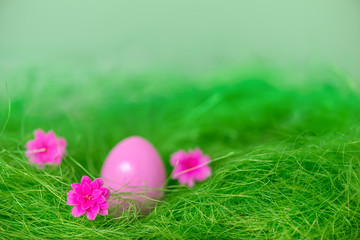 Fototapeta na wymiar pink Easter egg and flowers in green grass background, festive greeting card