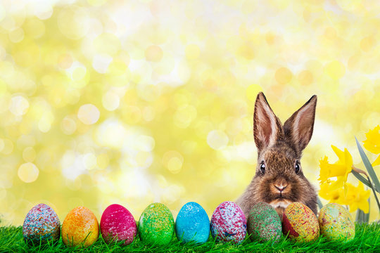 Frohe Ostern