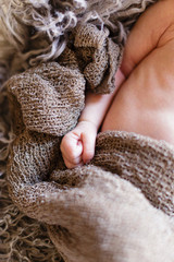 new born baby feet