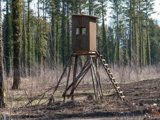 Hochstand im Wald