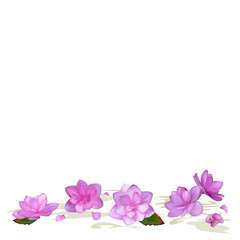 Obraz na płótnie Canvas Pink Hydrangea flowers
