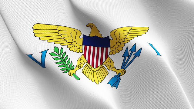 United States Virgin Islands US State flag waving loop. United States of America United States Virgin Islands flag blowing on wind.