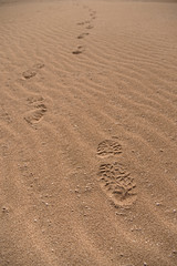 Footprints over sand dune, Fuerteventura, Canary Islands, Spain