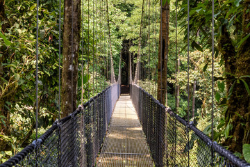 Hängebrücke im Regenwald