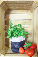 Fresh ripe garden tomatoes and basil on wooden background of a wooden crate with copy space