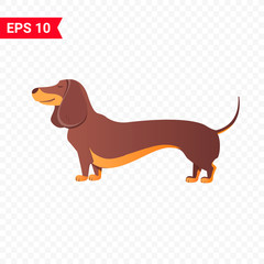 Happy dachshund. Vector flat illustration. World Pet Day