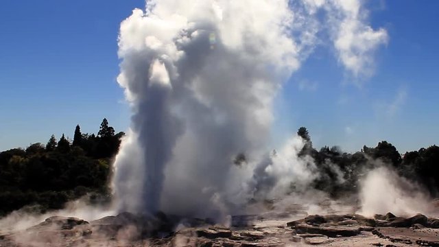 The Pohutu Geyser (right) and Prince of Wales Feathers Geyser (left, smaller) erupting at Whakarewarewa Thermal Park, Rotorua, New Zealand - one of NZ&rsquo;s top tourist attractions. Wide shot.