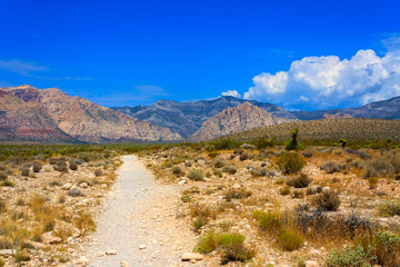 Hiking Trail at Red Rock Canyon with Mountains
