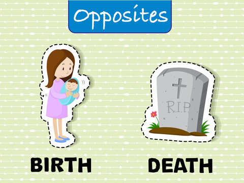 Opposite words for birth and death
