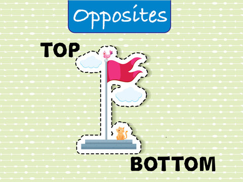 Opposite wordcard for top and bottom