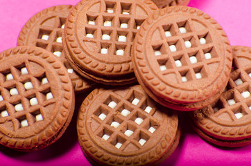 A fresh brown biscuit lies on a pink background. The recipe for sweet food. Place for text.