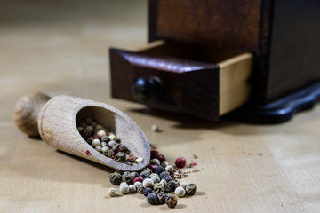 A grain of pepper on a kitchen table. Ground pepper in a kitchen mill.