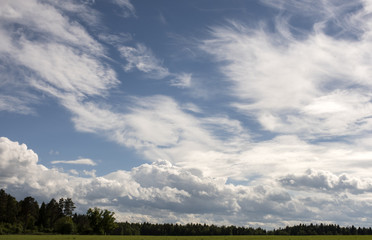 Landscape with clouds over the forest.