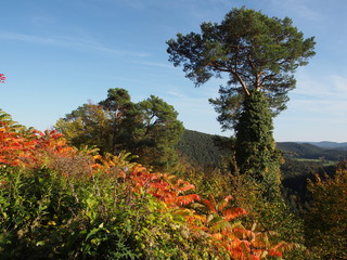 Rund um Burg Altdahn - Ruine einer Felsenburg im s&uuml;dlichen Pf&auml;lzerwald, dem deutschen Teil des Wasgaus
