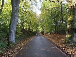 Obraz premium Rund um Burg Altdahn - Ruine einer Felsenburg im südlichen Pfälzerwald, dem deutschen Teil des Wasgaus 
