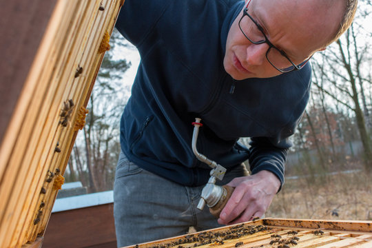 Imker kontrolliert sein Bienenvolk mit einer Imkerpfeife in der Hand