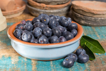 Organic healthy superfood blueberry in bowl, new harvest, raw, ready to eat