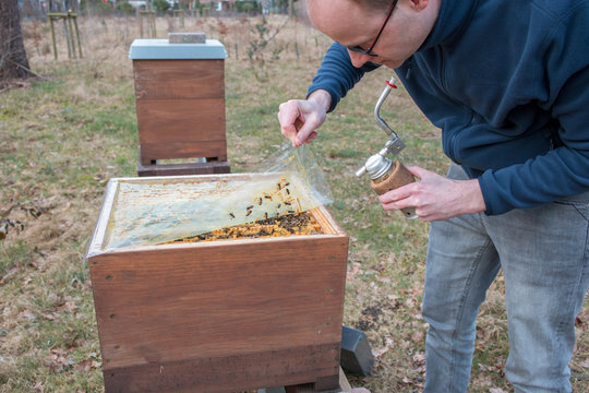 Imker k&uuml;mmert sich um sein Bienenvolk, indem er eine Plastikabdeckung anhebt, um die Bienenwabe zu sehen