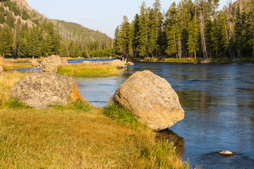Madison River 9