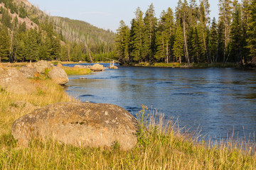 Madison River 8