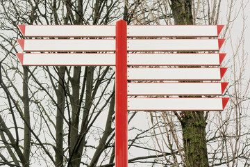 Blank direction signs and trees
