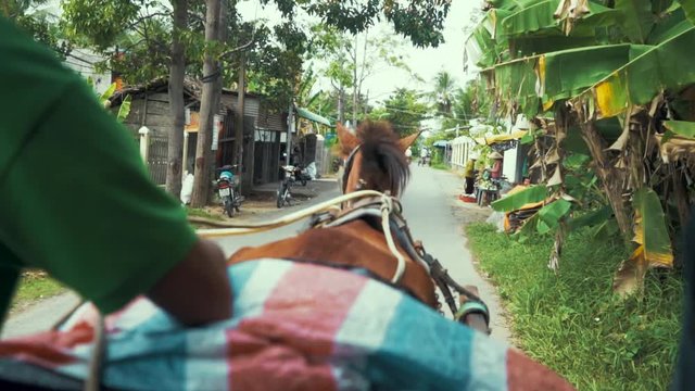 Slow motion shot of a horse pulling a carriage around Ben Treh Province with a group of tourists as passsengers