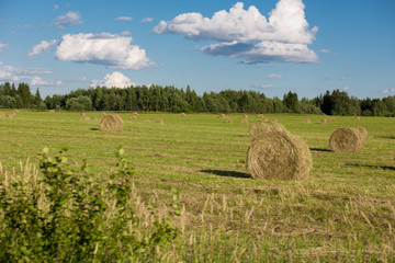 Twisted stack of hay on mowed field
