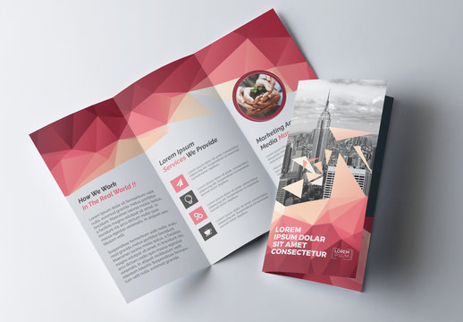 Tri-Fold Brochure Layout with Geometric Accents