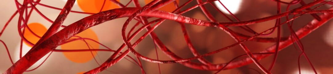 veins, blood vessels
3D rendering
