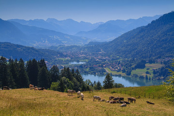 Fototapeta na wymiar Über dem Alpsee im Allgäu, Deutschland