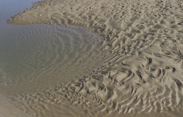 Fototapeta na wymiar Natural ripples and patterns in wet sand