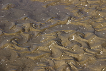 Natural ripples and spirals in sand