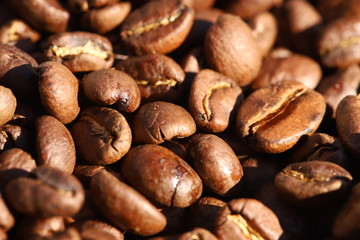 coffee beans