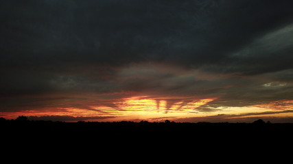 SkyFingers