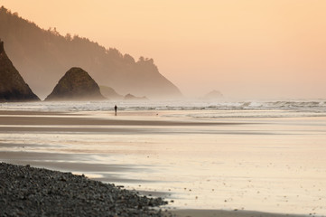 Fototapeta na wymiar Beautiful Sunset at Cannon Beach, Oregon. The popular resort areas of Cannon Beach and Arch Cape provide a scenic background for a stroll on soft white sand beach.