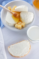 Cheese, milk assortment on white background, white cheese and honey on a blue napkin, wooden background, wooden stick for honey, top view, cheese on white plate, kefir in a glass, pop art