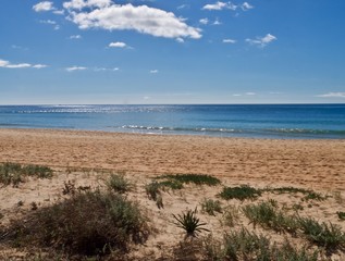 Dünen, feiner Sandstrand und blaues Meer