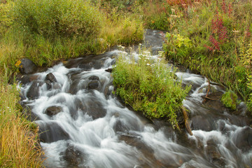 Yellowstone Stream